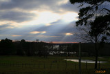 THE LIGHT SHINING DOWN IN EAST TEXAS