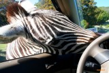 OKAY, GIVE ME THE KEYS!