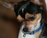 YOU COME ANY CLOSER AND ILL CHEW YOUR FACE OFF!