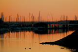 GOLDEN MONDAY EVENING