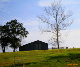 BARN AND TREES