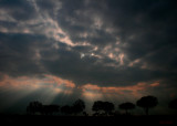 SPOTLIGHTS FROM HEAVEN