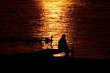 GEESE AND FISHERMAN