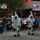 CHICK FILET COWS