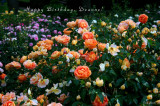 HAPPY BIRTHDAY, DEANNE!