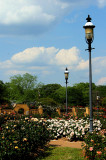 LAMPOSTS