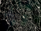 OH,  WHAT A TANGLED WEB WE WEAVE
