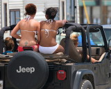 ALWAYS SEEN ON THE BEACHES....IF THEY LET YOU DRIVE ON THE BEACH THAT IS!