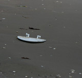 I WONT PEE IN THE OCEAN IF YOU DONT SWIM IN MY TOILET!