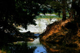 WHITE ROCK SPILLWAY THROUGH THE TREES