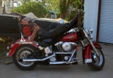 LEFT AS A SWEET THANG AND CAME BACK A BIKER CHICK!