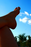 RELAXING IN THE SUN