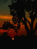 SUNSET LAST NIGHT