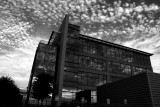 MY OFFICE BUILDING