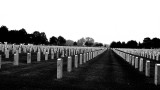 FALLEN HEROS