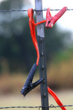 ELECTRIC FENCE