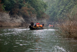 Shennong Stream