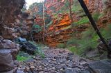 Alligator Gorge, Southern Flinders Ranges