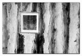 Pug n Pine Wall - Motor House, Old Wilpena Station, 1853