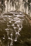 River reflection under Bridge