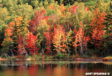 Adirondack Pond Reflection 2