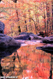 Greenwood Creek Autumn Reflection