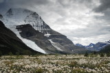 Mount Robson Provincial Park