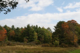 fall_2007.jpg