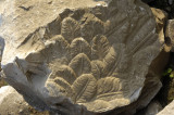 Bandirma 2006 2855.jpg