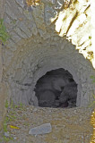 Bandirma 2006 2872.jpg