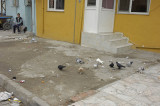 Canakkale 2006 2482.jpg