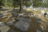 Priene 2007 4192.jpg