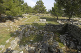 Priene 2007 4240.jpg