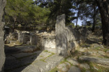 Priene 2007 4275.jpg