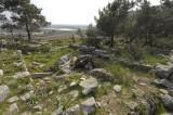 Priene 2007 4317.jpg