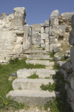 Miletus 2007 4514.jpg