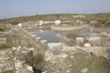 Miletus 2007 4567.jpg