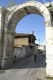 Milas 4955.jpg