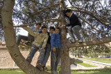 Manisa 6010.jpg