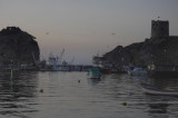 Sile062007 7170.jpg