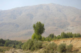 Ovacik 0920079340.jpg