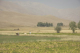Ovacik 0920079344.jpg