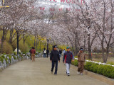 Around Seokcho lake