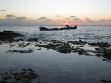 Lobster has also been spotted at the site. The Wreck of the Cali is about 50 yards out, and is accessible from both Rackam's or Hammerhead Pub on the waterfront.