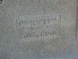Parents: John C Terry (1840 - 1935) Mary J Terry (1851 - 1931) buried @ Fenders Church

children of John & Mary:
  James B Terry (1874 - 1952)* (buried @ Fenders Church)
  Arthur Ray Terry (1895 - 1961)* (buried @ Fenders Church)
  Dicie Mae Terry Richesin (1897 - 1970)* (buried @ Beulah Chapel Church)
  Jesse C Terry (1905 - 1988)* (buried @ Sweetwater Valley Memorial Park)