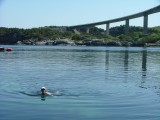 Christine Urquhart -captain of Viking Spirit-on a swim at RongeSund