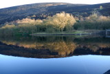 Reflections in The Reservoir