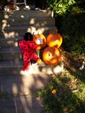 me and pumpkins.jpg