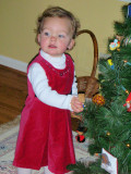 love xmastrees.JPG