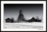 Old farm yard framed.jpg